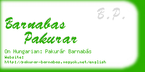 barnabas pakurar business card